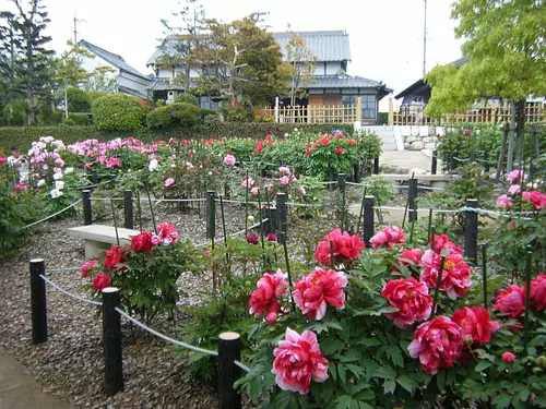 長島（nagashima）海濱和平公園按鈕