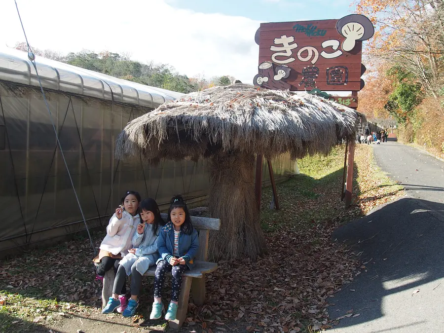 【モクモク手づくりファーム】生きくらげ摘み取り体験 土日祝