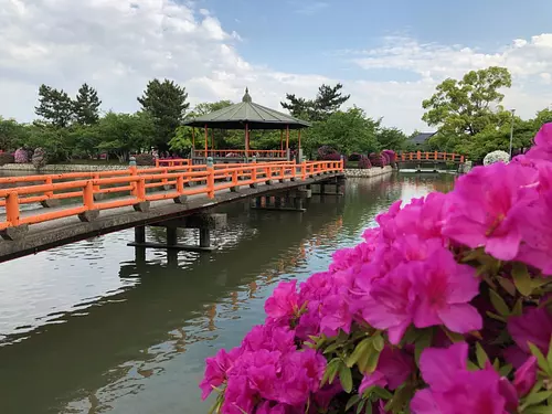 九華公園 つつじまつり