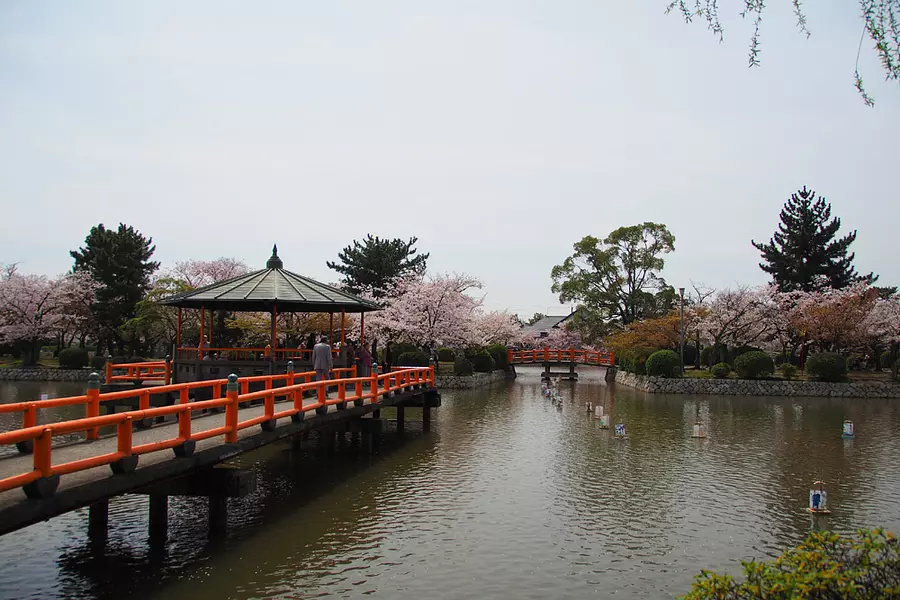 九卡公園（KyukaPark）櫻花節
