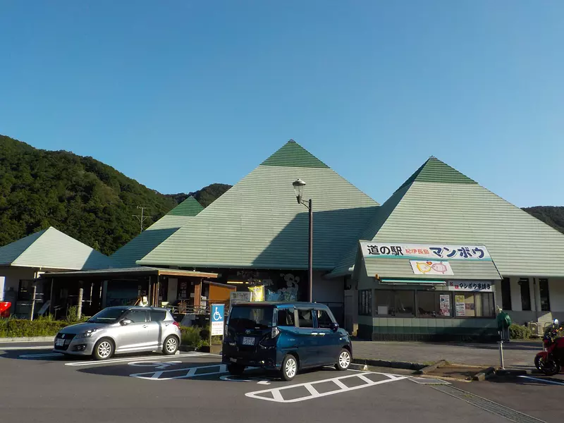 紀伊長島翻車魚（Kii-NagashimaManbo）/外觀