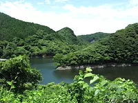 Terapia de bosque “Curso junto al lago de la presa Kimigano”