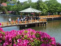 Festival des azalées du parc Kyuka