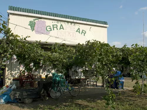 Visite de la ferme de raisin Yamaguchi