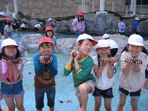 Centro de experiencias Hamajimaiso ciudad de Shima&quot; Umi Hozuki&quot;