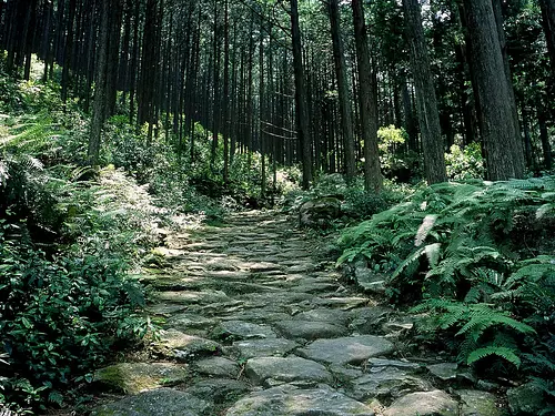 Carretera de paso de montaña y adoquines.