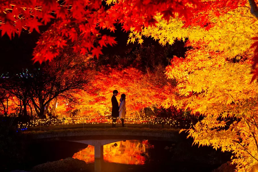 Lugar famoso por las hojas de otoño.