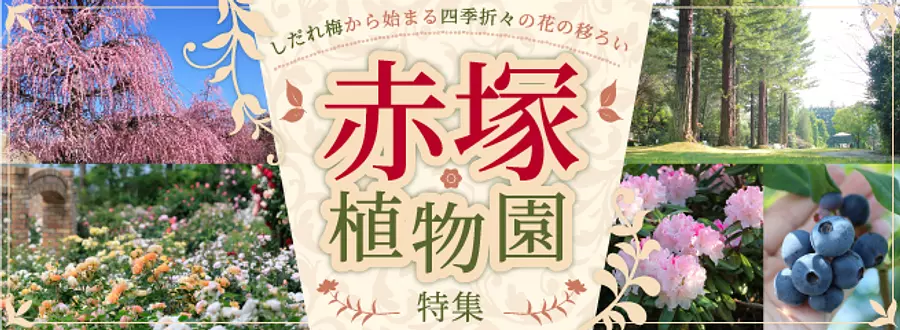 赤塚植物園特集　しだれ梅、シャクナゲ、バラと一年中花盛り