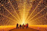 Japan's largest light festival