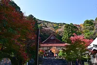 Feuilles d&#39;érable du mont Narutani au temple Shohoji