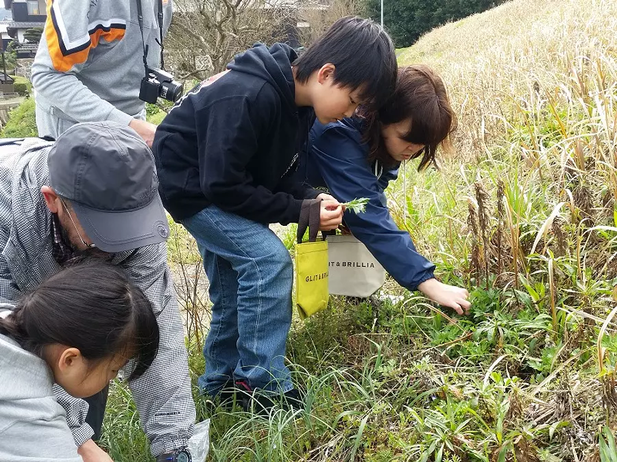 山菜摘み