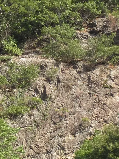 野見坂の地層褶曲