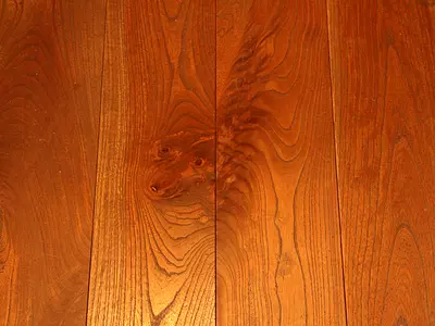 床に浮かび上がる龍