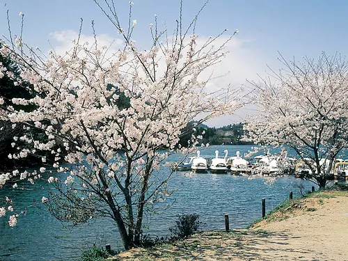 Lago Gokatsura en primavera