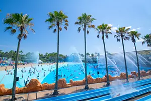 在世界最大級的大型海水泳池中體驗夏日戲水!