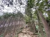 Kumano Kodo special site: Walking the Iseji Route