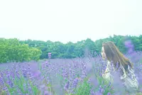 MenardAoyamaResort Herb Garden