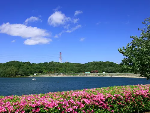 伊坂壩單車公園