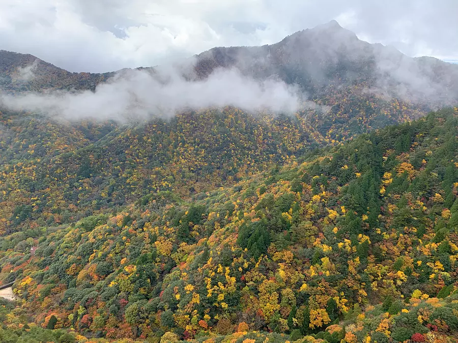 Hojas de otoño del Monte Gozaisho