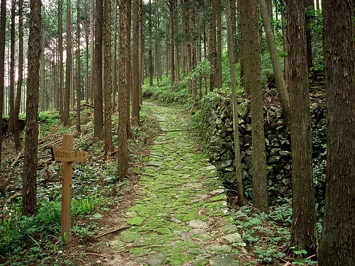 camino adoquinado