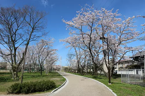 桜の森公園