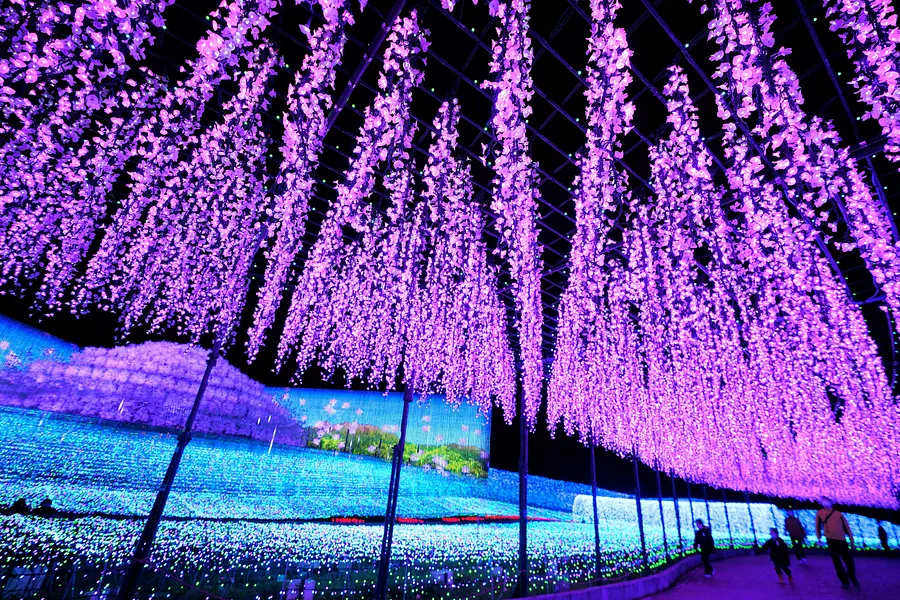 Spectacular view! Nabananosato illumination special feature! You can also see past themes!
