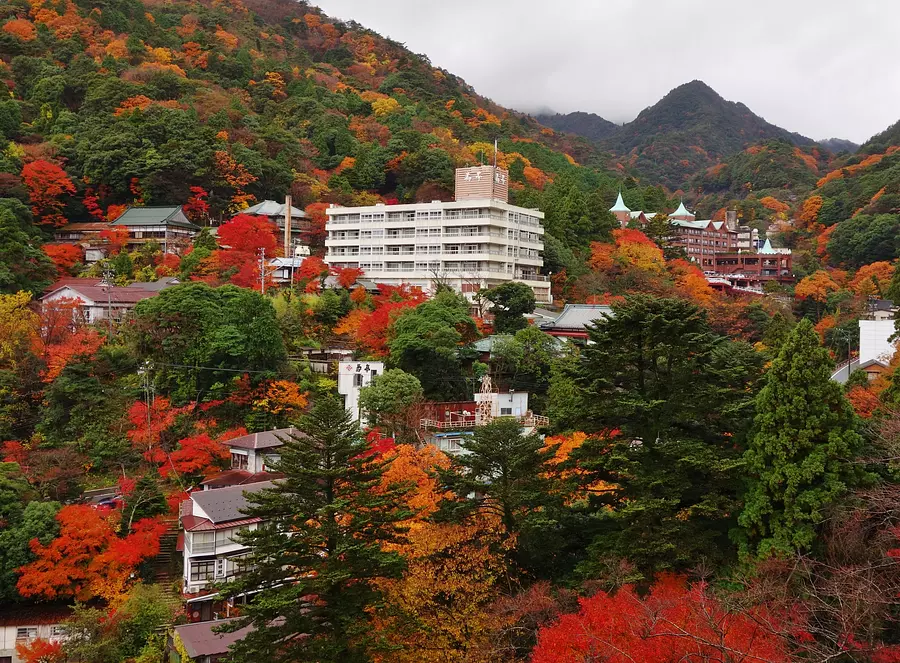 Hojas de otoño del Monte Gozaisho