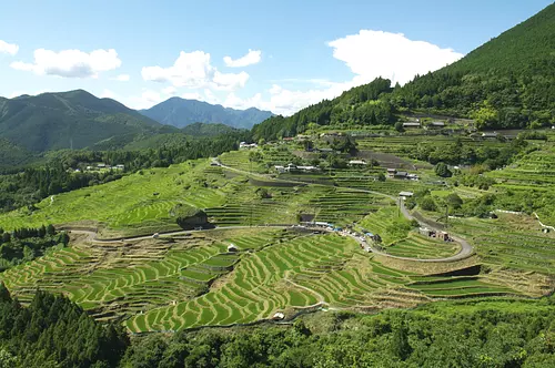 Maruyama Senmaida