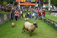 お祭りを開催します