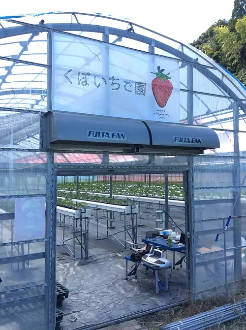 Ferme de fraises Kubo