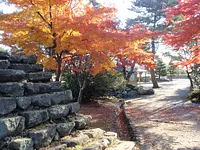 Le château de Matsuzaka ruine les feuilles d'automne