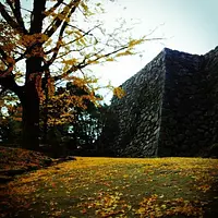 Le château de Matsuzaka ruine les feuilles d'automne