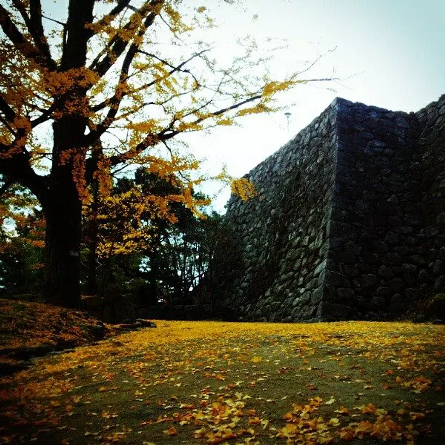 Matsuzaka Castle ruins autumn leaves