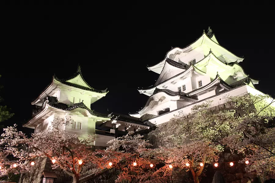 伊賀上野城と夜桜