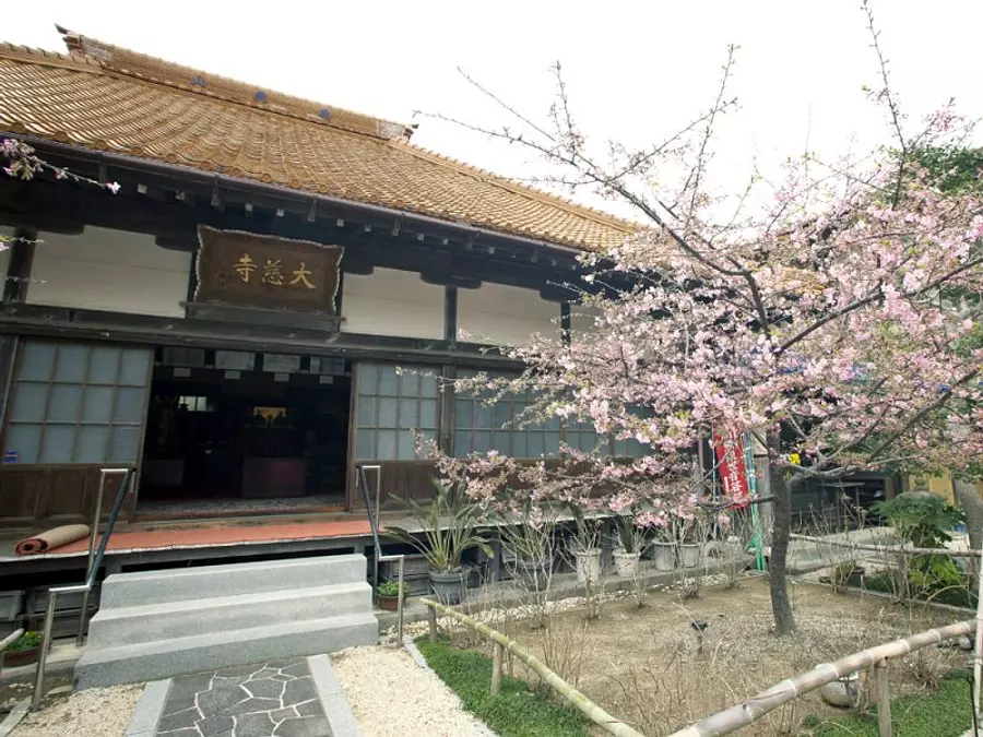 Daijiji Temple and Tenrei Cherry Blossoms