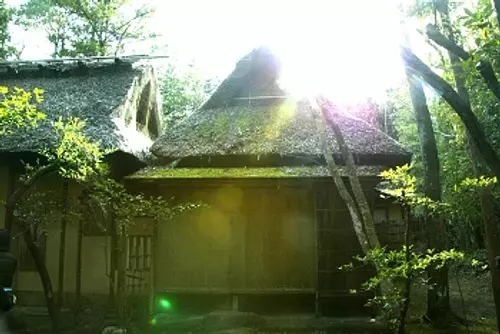 高田本山千秋寺（SENJUJIHeadTempleoftheShinshuTakadaSchool）庭園