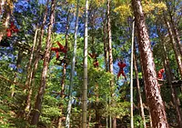 毎月7日は志摩の日