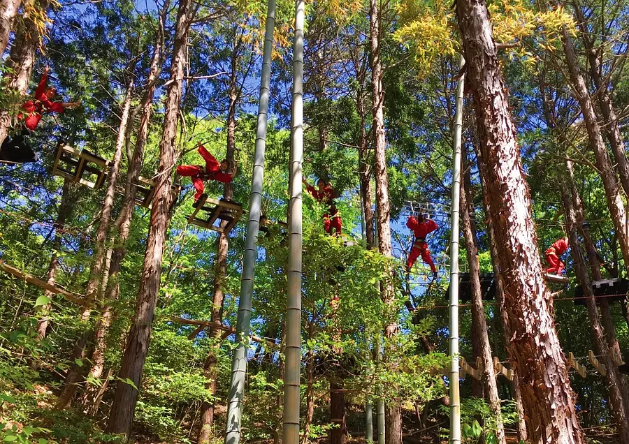 毎月7日は志摩の日