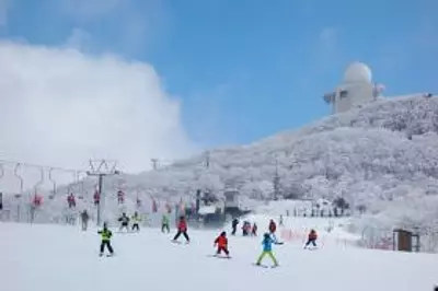 冬におすすめ！三重県の観光スポット＆イベント特集 2022-2023