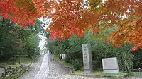 上野公園の紅葉