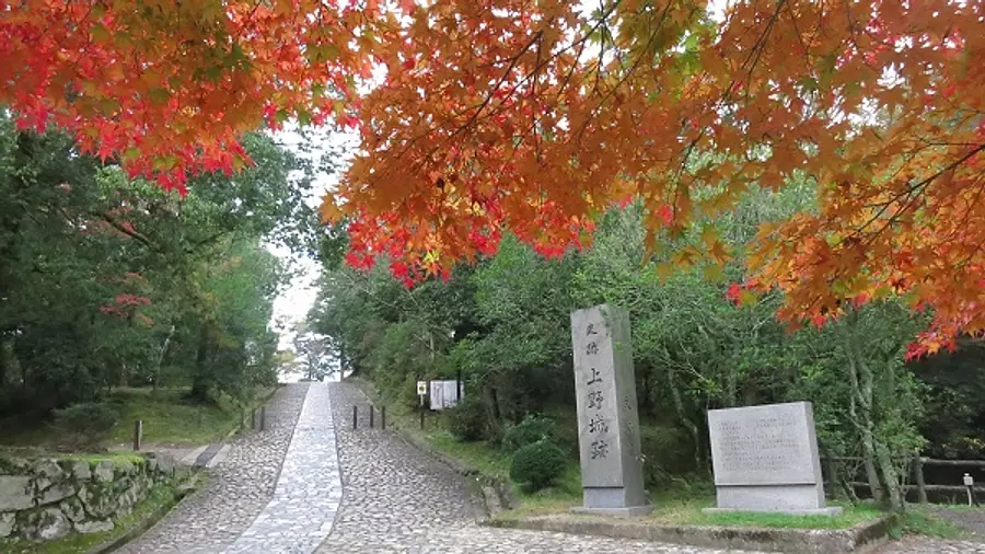 上野公園の紅葉