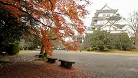 Hojas de otoño en el parque Ueno