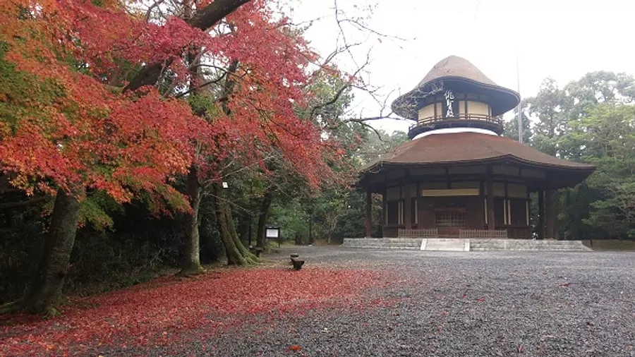 上野公園の紅葉
