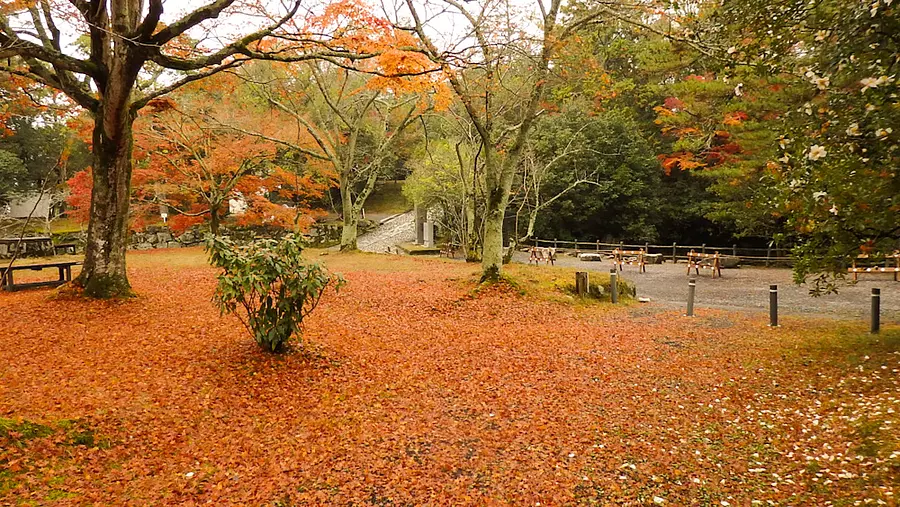 Feuilles d'automne au parc d'Ueno