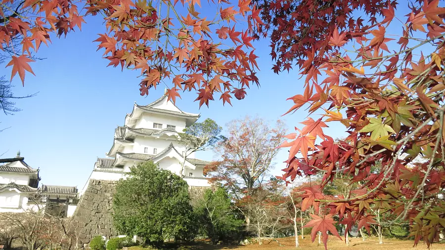 上野公園の紅葉