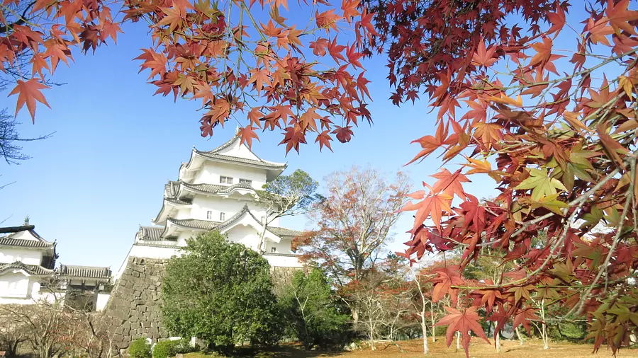 Hojas de otoño en el parque Ueno