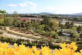 [紅山石南林]赤塚植物園的栽培示範農場「紅山石南林」在津市（TsuCity）開幕了！介紹地點、交通和入場費