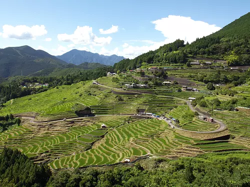 Maruyama Senmaida