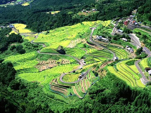 Maruyama Senmaida