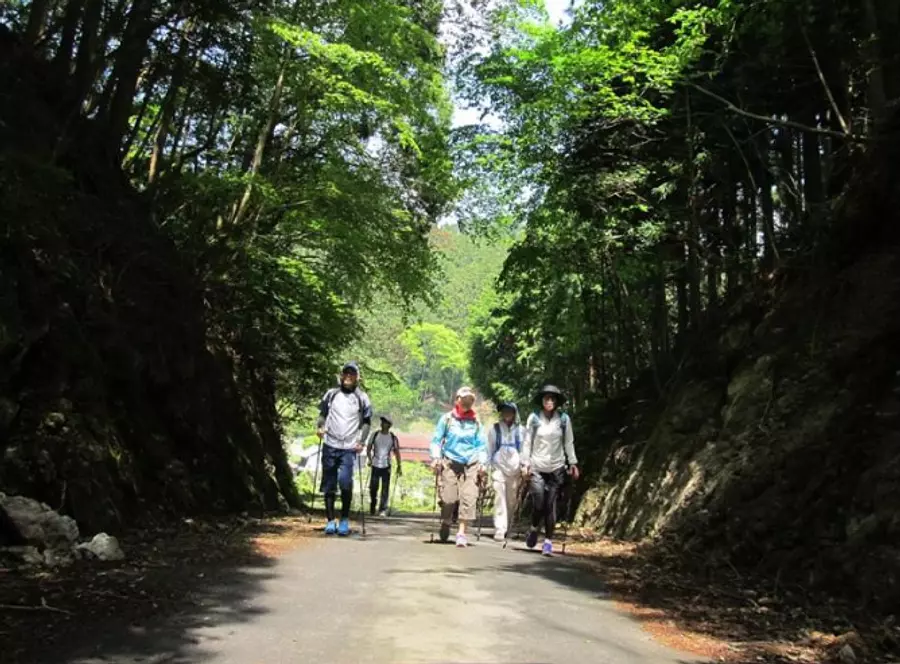 Inaka Tourism (MisugiResort Experience Workshop)